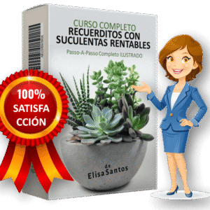 PASO A PASO RECUERDITOS CON SUCULENTAS